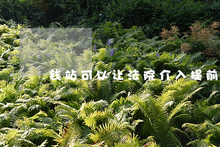 钱站可以让法院介入提前还款吗-