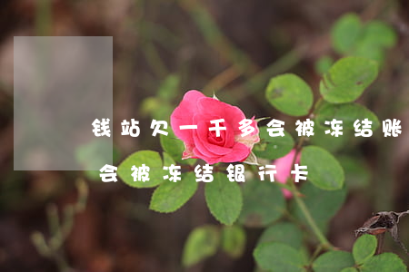 钱站欠一千多会被冻结账户吗(钱站欠多少钱会被冻结银行卡)