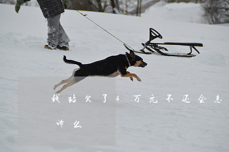 钱站欠了4万元不还会怎样(钱站不还钱会起诉么)