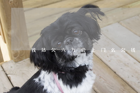 钱站欠六万会上门么(欠钱站好几万半年了)