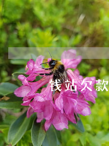 钱站欠款逾期了四年(钱站逾期一年多)