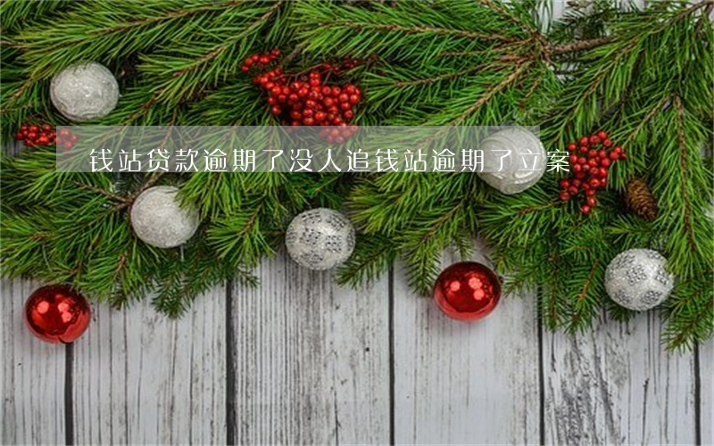 钱站贷款逾期了没人追(钱站逾期了立案)