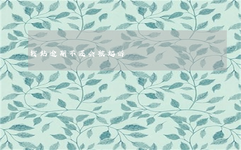 钱站逾期不还会被起诉