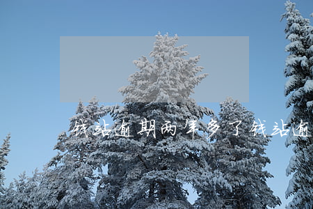 钱站逾期两年多了(钱站逾期两年多了)