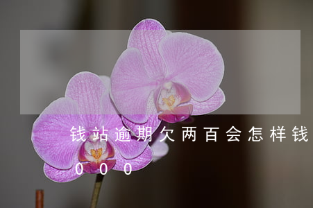 钱站逾期欠两百会怎样(钱站逾期了两年了3000)
