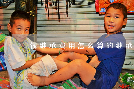 钱继承费用怎么算的(继承费如何计算)