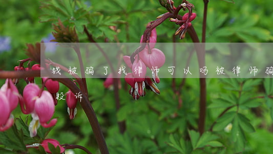 钱被骗了找律师可以吗(被律师骗了钱到哪里投诉)