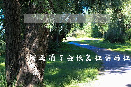 钱还清了会恢复征信吗(征信不好如何恢复征信)