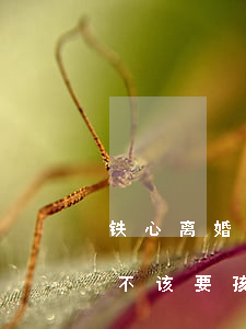 铁心离婚的男人不要孩子怎么办(男人离婚该不该要孩子)