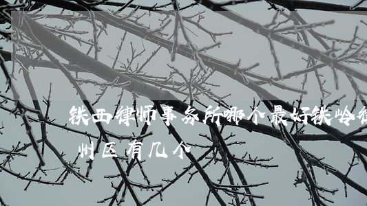 铁西律师事务所哪个最好(铁岭律师事务所银州区有几个)
