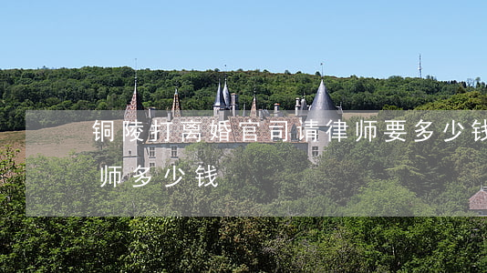 铜陵打离婚官司请律师要多少钱(请个离婚律师多少钱?)