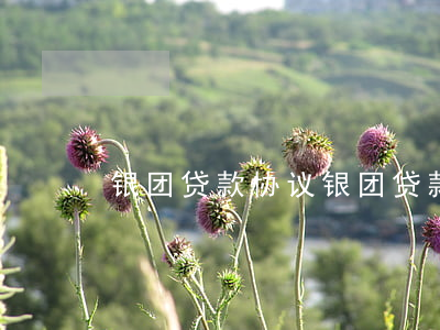 银团贷款协议(银团贷款协议示范文本)