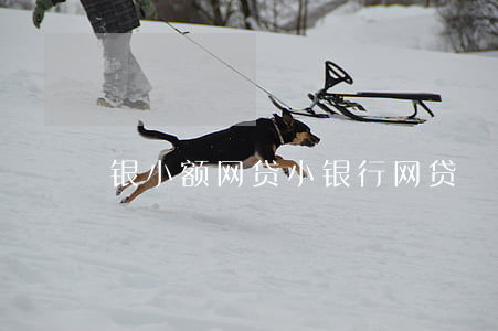 银小额网贷，小银行网贷