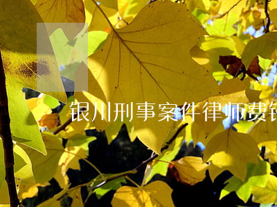 银川刑事案件律师费(银川刑事案件律师费) 银川刑事案件律师费(银川刑事案件律师费)