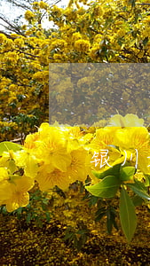 银川婚姻官司律师费多少