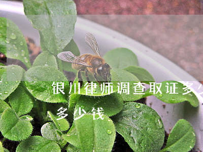 银川律师调查取证多少钱(银川律师调查取证多少钱)