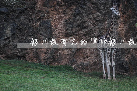 银川最有名的律师(银川最有名的律师)