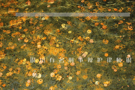 银川有名刑事辩护律师(银川刑事辩护资深律师)