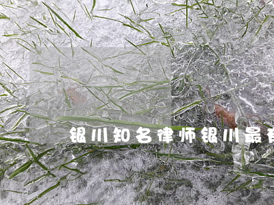 银川知名律师(银川最有名的律师)