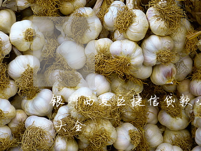 银川西夏区捷信贷款公司(宁夏贷款公司电话大全)