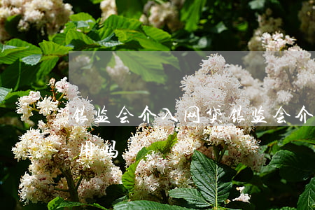银监会介入网贷 银监会介入网贷协商还款有用吗