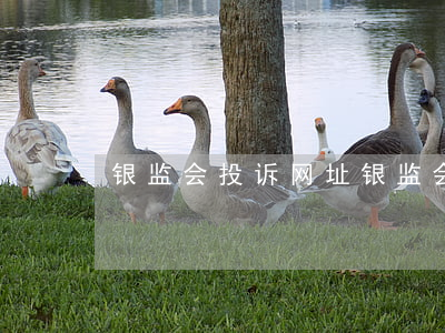 银监会投诉网址(银监会网上投诉网址)