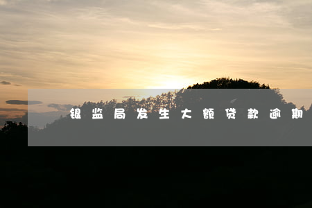银监局发生大额贷款逾期(贷款严重逾期)
