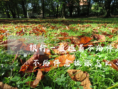 银行一直拖着不给停息挂账-银行一直拖着不给停息挂账怎么办