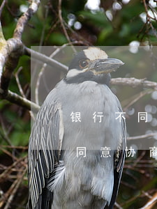 银行不同意协商还款可不可以投诉-银行不同意协商还款可不可以投诉银行