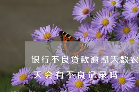 银行不良贷款逾期天数(农业银行贷款逾期三天会有不良记录吗)
