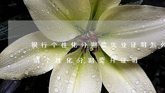 银行个性化分期要失业证明怎么开-银行申请个性化分期要开证明