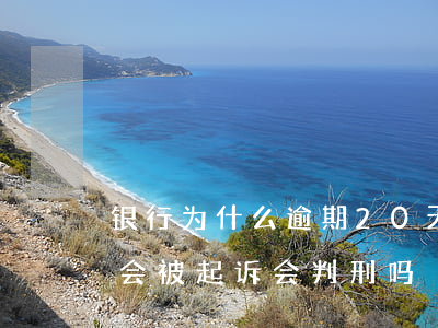 银行为什么逾期20天就被起诉了(银行逾期会被起诉会判刑吗)