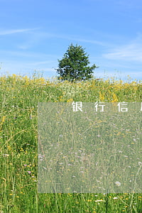 银行信用借款合同