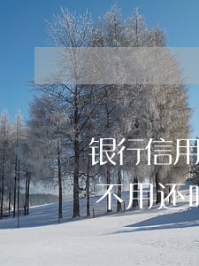 银行信用卡分期当月不还吗(银行卡分期当月不用还吗?)