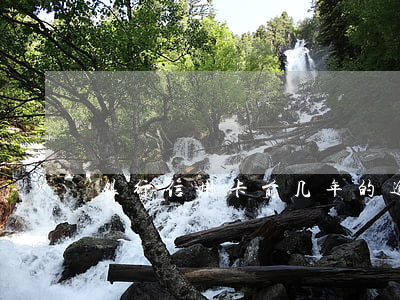 银行信用卡前几年的逾期(信用卡逾期好几年)
