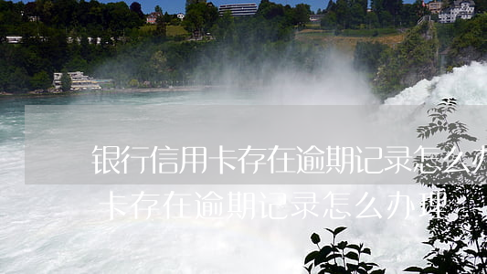 银行信用卡存在逾期记录怎么办-银行信用卡存在逾期记录怎么办理
