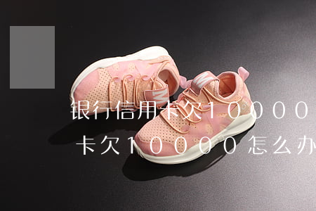 银行信用卡欠10000怎么办-银行信用卡欠10000怎么办理