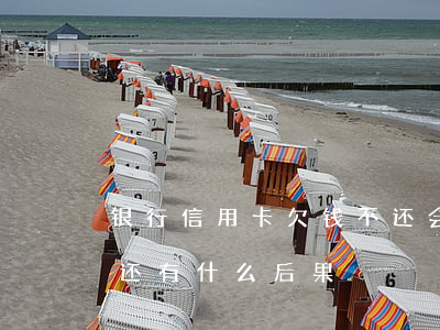 银行信用卡欠钱不还会怎样(欠信用卡的钱不还有什么后果)