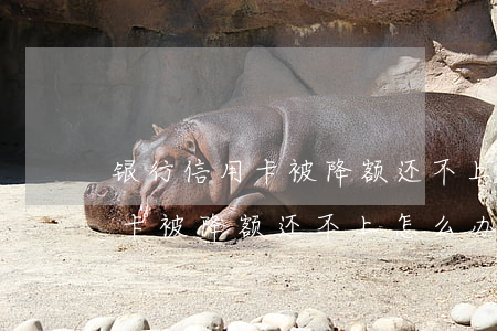 银行信用卡被降额还不上怎么办-银行信用卡被降额还不上怎么办呢