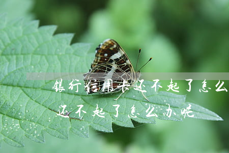 银行信用卡还不起了怎么办呢-银行信用卡还不起了怎么办呢
