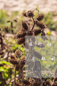 银行信用卡透支利息算逾期吗-银行卡透支逾期利息怎么算