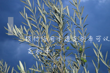 银行信用卡透支利率可议价(什么叫信用卡透支利率)