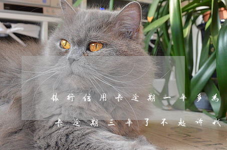 银行信用卡逾期一年多为什么不起诉 我信用卡逾期三年了不起诉我为什么