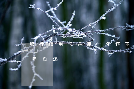 银行信用卡逾期一年还不上(信用卡逾期两三年没还)