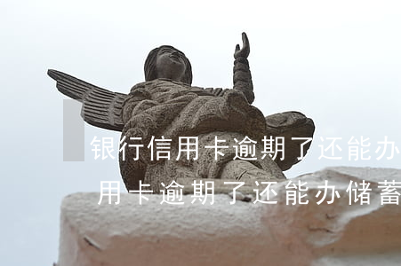 银行信用卡逾期了还能办储蓄卡吗-银行信用卡逾期了还能办储蓄卡吗知乎