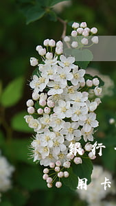 银行信用卡逾期亲戚朋友被骚扰了(亲戚办信用卡银行为什么要打我)