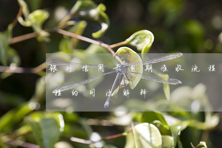 银行信用卡逾期催收流程(信用卡逾期催收流程的司法解释)