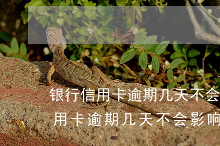 银行信用卡逾期几天不会影响征信-银行信用卡逾期几天不会影响征信吧