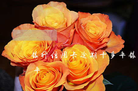 银行信用卡逾期十多年(银行信用卡逾期十多年)