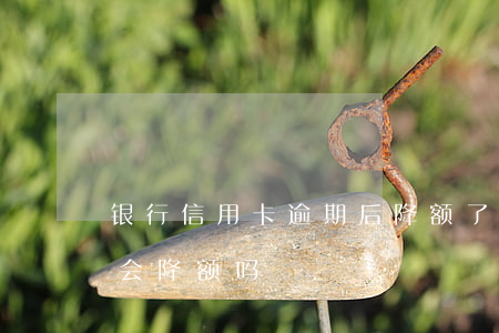 银行信用卡逾期后降额了(征信逾期后信用卡会降额吗)